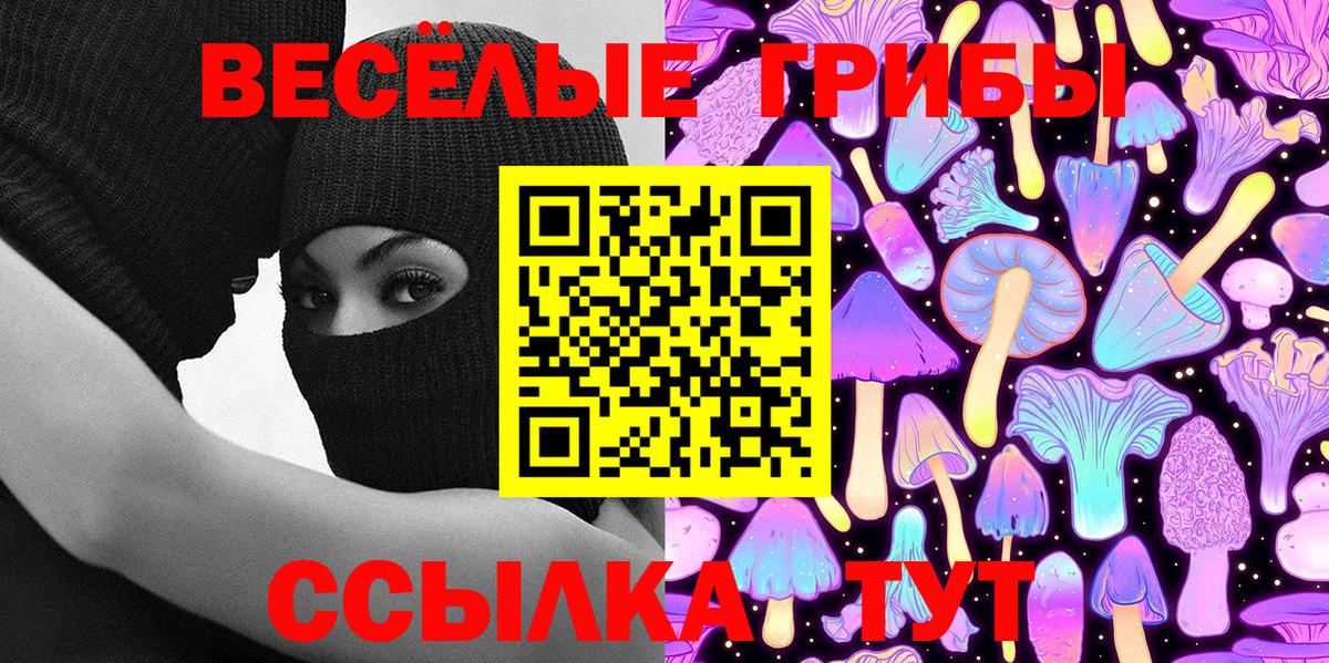 Галлюциногенные грибы Psilocybe  Вход с VPN  Урюпинск 