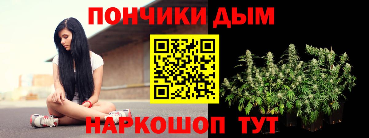 Урюпинск  Каннабис семена  Бошки марихуана планчик  Марихуана Bruce Banner  Канабис VHQ  Вход с VPN 